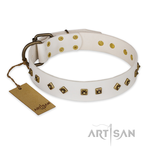 Remarkable leather dog collar with reliable fittings