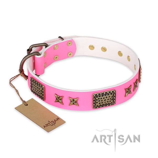 Easy adjustable full grain leather dog collar with strong fittings