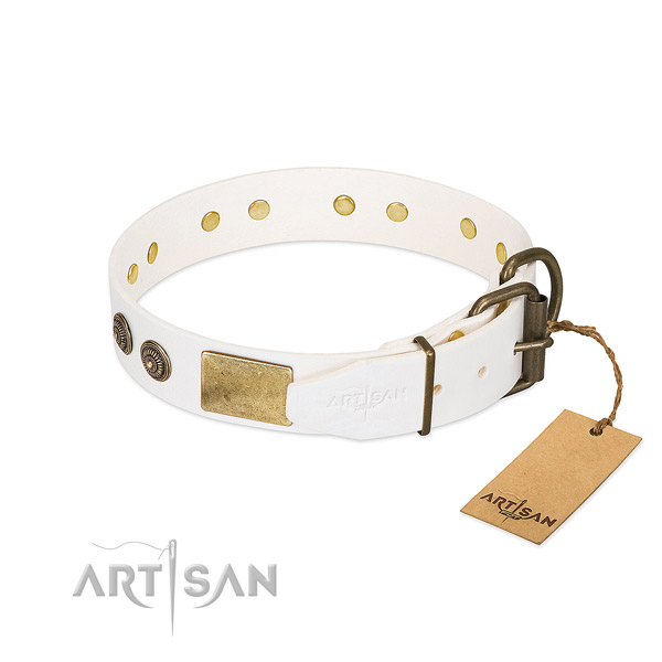 Durable fittings on full grain natural leather collar for fancy walking your four-legged friend