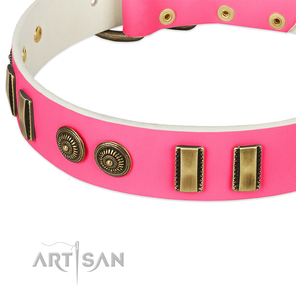 Rust resistant embellishments on full grain genuine leather dog collar for your canine