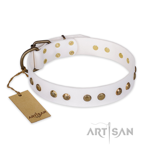 Comfortable full grain leather dog collar with rust resistant hardware