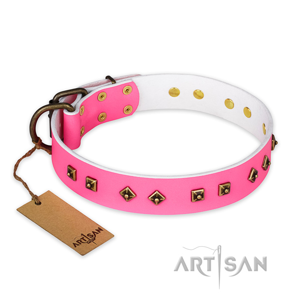 Impressive full grain natural leather dog collar with corrosion resistant buckle