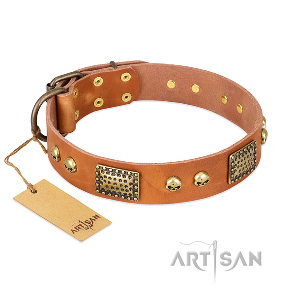 Adjustable full grain genuine leather dog collar for daily walking your pet