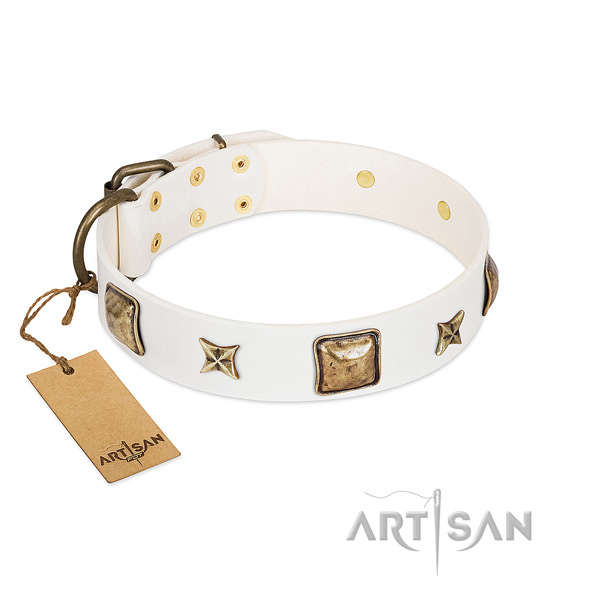 Fine quality full grain leather dog collar for fancy walking