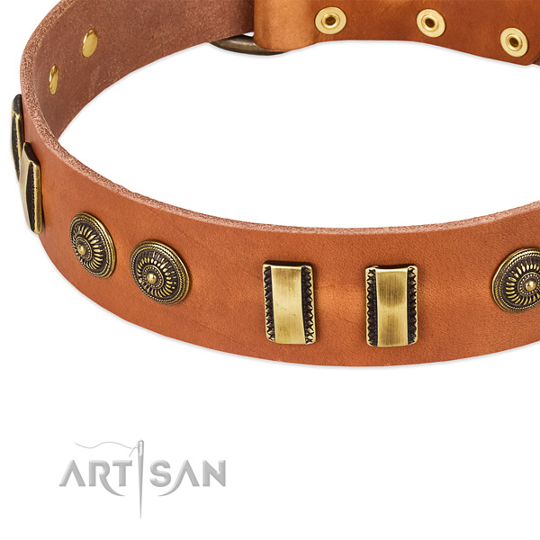 Rust-proof adornments on full grain leather dog collar for your doggie