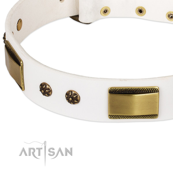Corrosion proof traditional buckle on natural genuine leather dog collar for your doggie