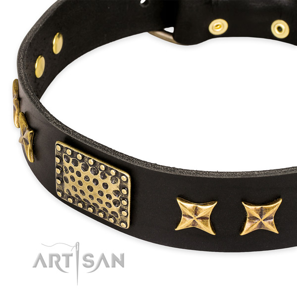 Full grain leather collar with strong D-ring for your stylish canine