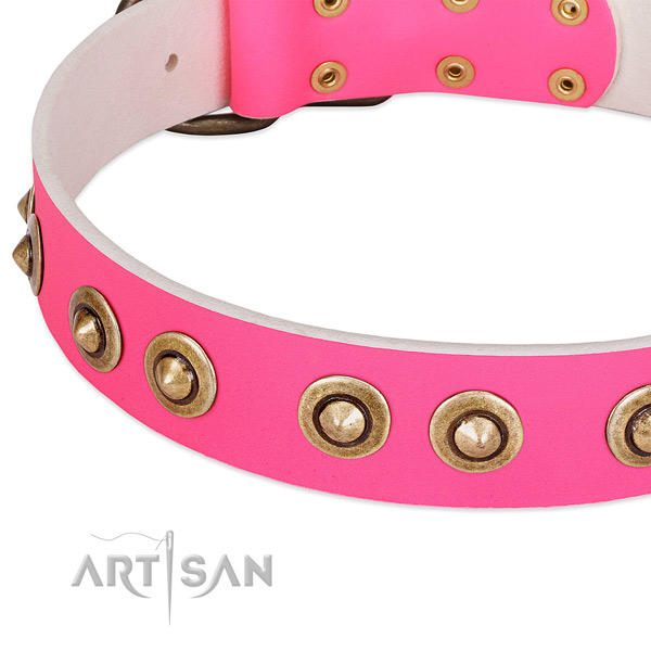 Strong decorations on natural genuine leather dog collar for your four-legged friend