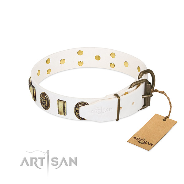 Corrosion proof hardware on leather collar for fancy walking your doggie