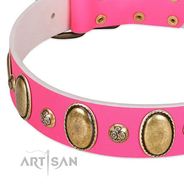 Everyday walking reliable full grain genuine leather dog collar