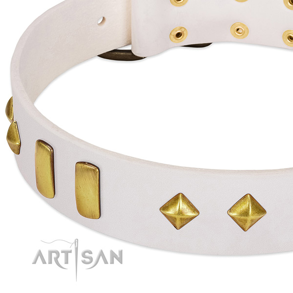Best quality full grain leather dog collar with strong traditional buckle