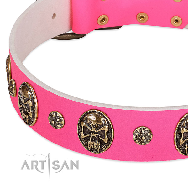 Decorated dog collar handmade for your attractive pet