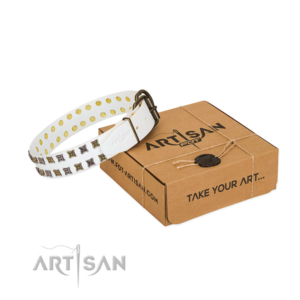 Genuine leather collar with significant embellishments for your pet