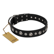 "Genteel Charm" FDT Artisan Black Leather Siberian Husky Collar with Silver-like Round Conchos