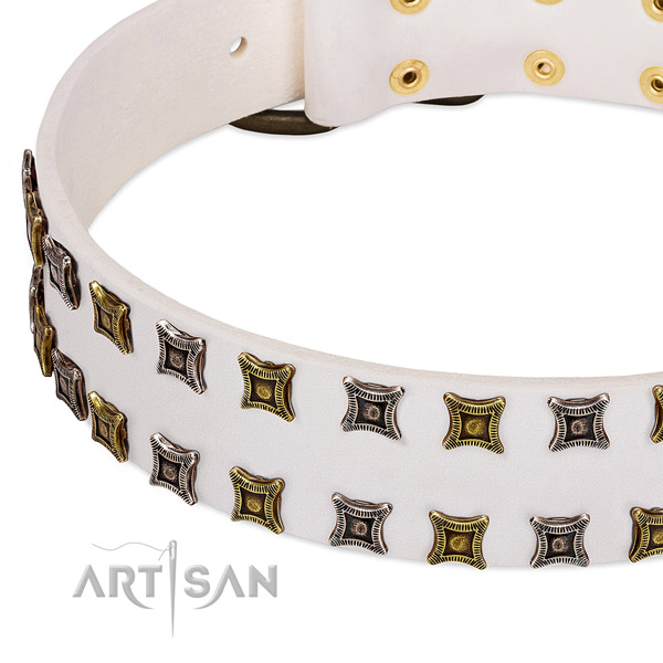 Genuine leather dog collar with embellishments for your lovely dog