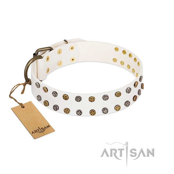 Trendy leather dog collar with durable embellishments