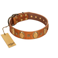 "Glossy Autumn" Designer Handmade FDT Artisan Tan Leather Siberian Husky Collar with Ovals and Studs