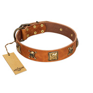 "Knights Templar" FDT Artisan Tan Leather Siberian Husky Collar with Skulls and Crossbones Combined with Squares