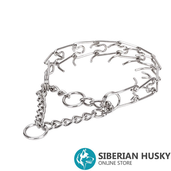 Pinch collar of corrosion-proof stainless steel for badly behaved dogs