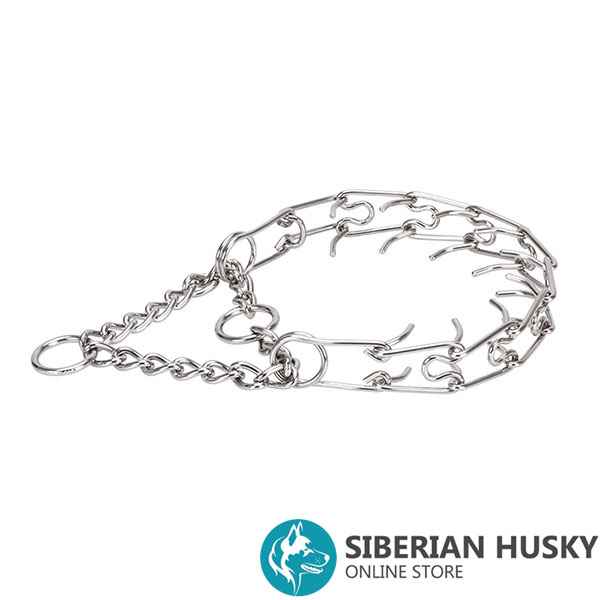 Pinch collar of stainless steel for ill behaved pets