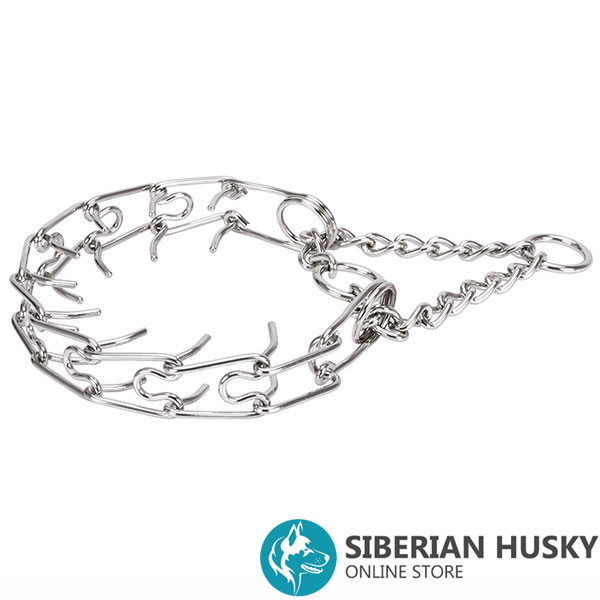 Dog prong collar of dependable stainless steel for large canines