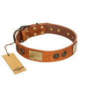 "Bronze Century" FDT Artisan Tan Leather Siberian Husky Collar with Plates and Brooches with Cool Ornament