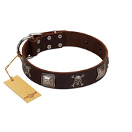 "Nut-Brown Finery" Embellished FDT Artisan Brown Leather Siberian Husky Collar with Chrome Plated Crossbones and Plates