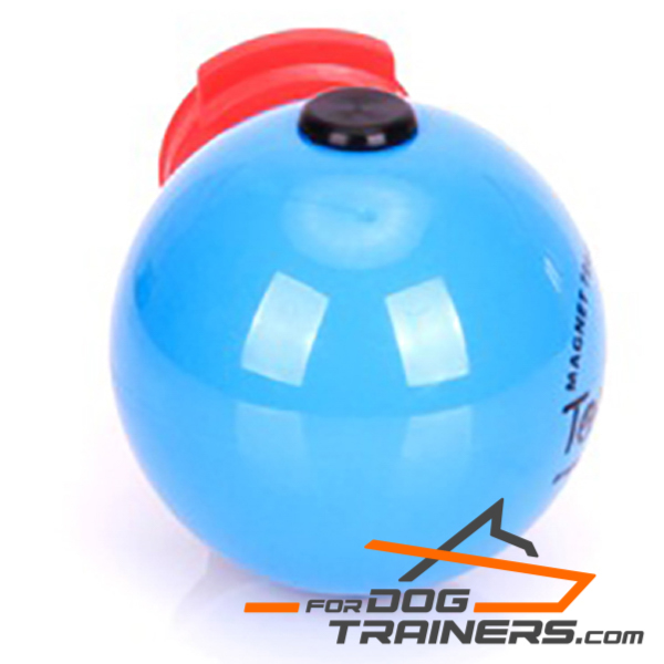 Nice dog ball for Training