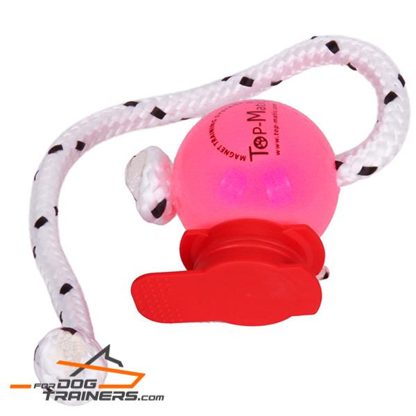 Magnetic Pink Ball