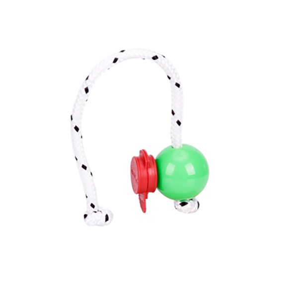 Training plastic ball with magnets