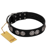 "Magic Amulete" Handcrafted FDT Artisan Black Leather Siberian Husky Collar with Chrome-Plated Shields