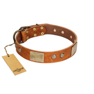 "Ancient Treasures" FDT Artisan Tan Leather Siberian Husky Collar with Antiqued Plates and Studs