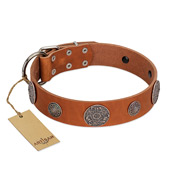 "Foxy Nature" FDT Artisan Tan Leather Siberian Husky Collar with Chrome Plated Brooches