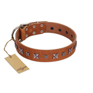 "Star Shine" Exclusive FDT Artisan Tan Leather Siberian Husky Collar with Silver-Like Adornments
