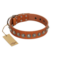 "Silver Spike" Handmade FDT Artisan Tan Leather Siberian Husky Collar with Old Silver-Like Spikes