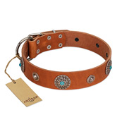 "Marine Antiques" Handmade FDT Artisan Tan Leather Siberian Husky Collar with Blue Stones