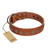 "Lucky Star" Handmade FDT Artisan Designer Tan Leather Siberian Husky Collar with Round Plates