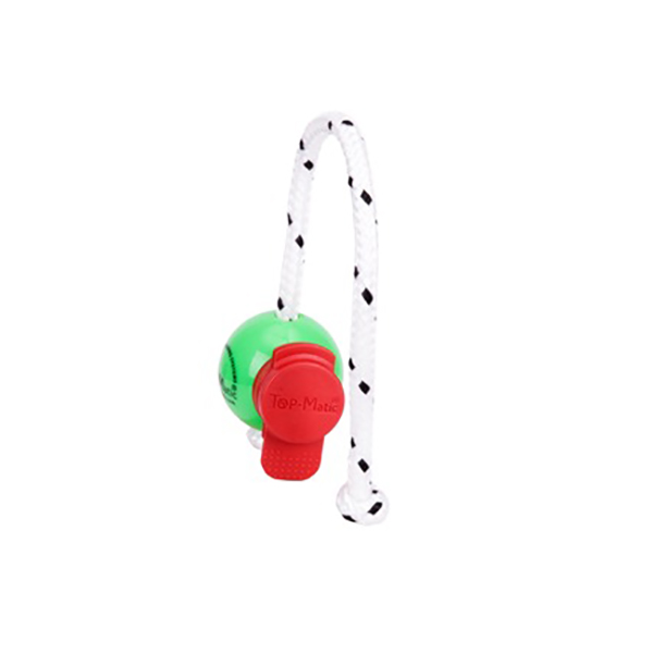 Toy with set of magnets