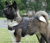 Akita inu dog harnesses, leather dog harnesses, nylon dog harness,tracking dog harness, pulling dog harness,walking dog harness,dog training harnesses