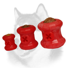 All sizes of foam Siberian Husky toy 