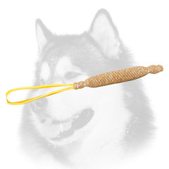 Jute dog bite tag for Siberian Husky