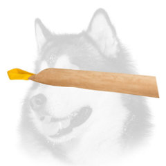 Dog bite tug for Siberian Husky of leather