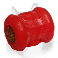Interactive feeder for Siberian Husky