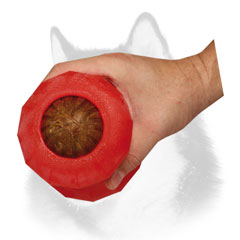 Treats dispensing toy for Siberian Husky
