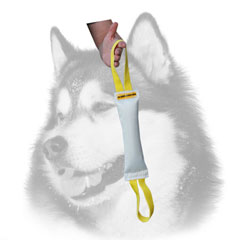 Siberian Husky bite tug fire hose with two handles