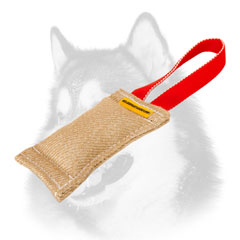 Siberian Husky bite tug jute for puppy training