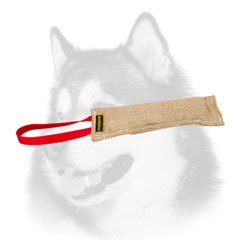 Siberian Husky bite tug jute for puppy training