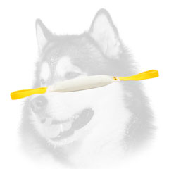 Siberian Husky bite tug made of fire hose