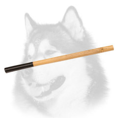 Siberian Husky agitation training bamboo stick