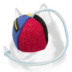 Durable French Linen Siberian Husky bite ball